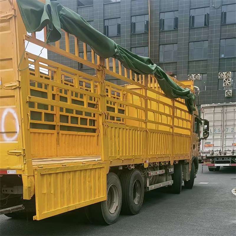 宝安区灵璧县物流运输：多元服务与高效线路探秘